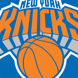 NBA New York Knicks Large Logo Apple Pencil (2nd Gen 2019) Skin